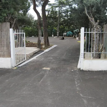 Santos B&B-3